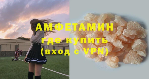 молекула духа Бородино