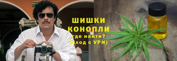 молекула духа Бородино