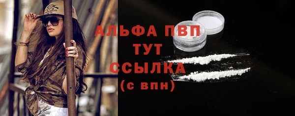 молекула духа Бородино