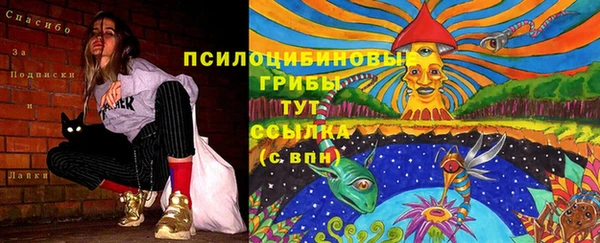 молекула духа Бородино
