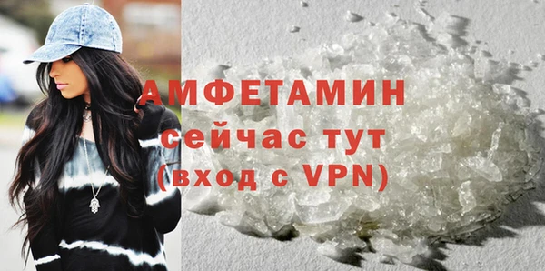 молекула духа Бородино