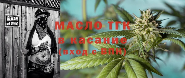 молекула духа Бородино