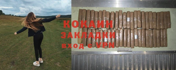 молекула духа Бородино