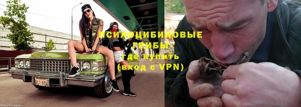 МДПВ Бугульма