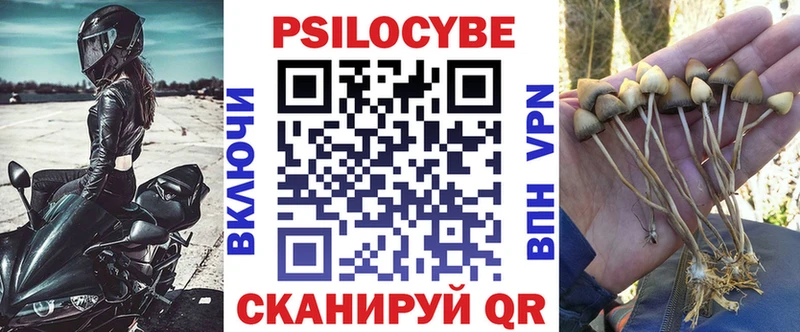 как найти закладки  маркетплейс телеграм  Галлюциногенные грибы прущие грибы  Козьмодемьянск 